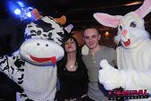photo 10794422.jpg